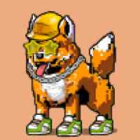 DogePunks #4792