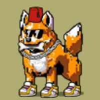 DogePunks #470