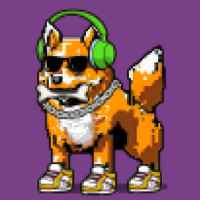 DogePunks #1606