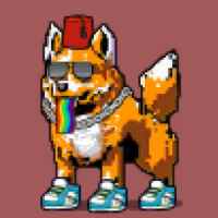 DogePunks #1572