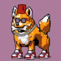 DogePunks #4862