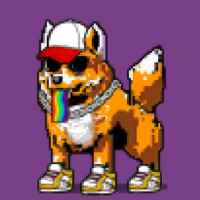 DogePunks #999