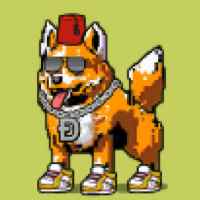 DogePunks #3674