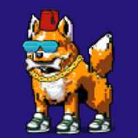 DogePunks #3227