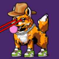 DogePunks #1896