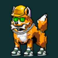 DogePunks #3681