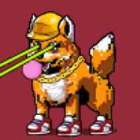 DogePunks #1039