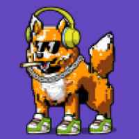 DogePunks #2509