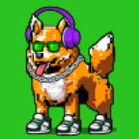 DogePunks #2152