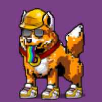 DogePunks #1011