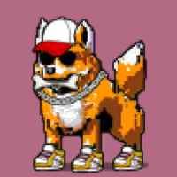 DogePunks #1980