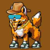 DogePunks #1602