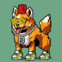 DogePunks #544