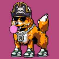 DogePunks #2882