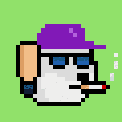 Dogepunk #899