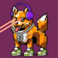 DogePunks #3365