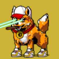DogePunks #2480