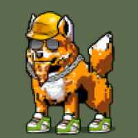 DogePunks #2315