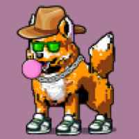 DogePunks #1466