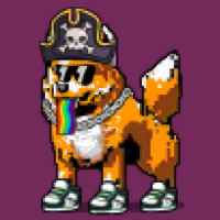 DogePunks #1171