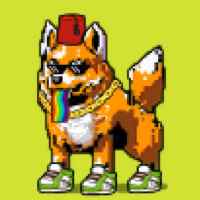 DogePunks #2441
