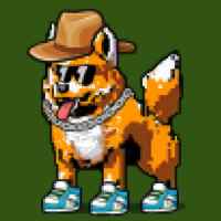 DogePunks #2088