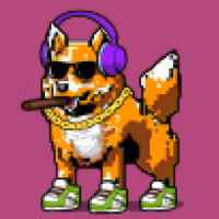 DogePunks #371