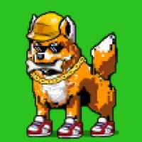 DogePunks #4040