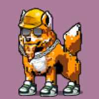 DogePunks #867