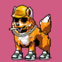 DogePunks #3338