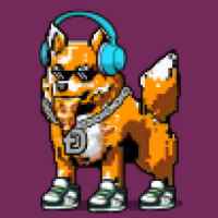 DogePunks #1513