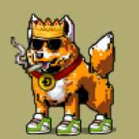 DogePunks #2863