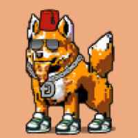 DogePunks #1361