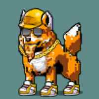 DogePunks #543