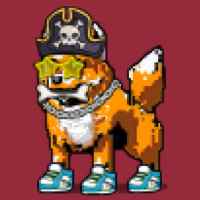 DogePunks #1366
