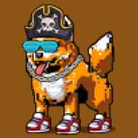 DogePunks #643