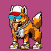 DogePunks #2557
