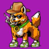 DogePunks #3567