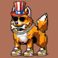 DogePunks #3725