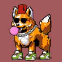 DogePunks #397