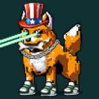 DogePunks #430