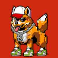 DogePunks #4427