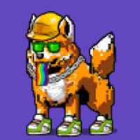 DogePunks #159