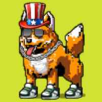 DogePunks #4950