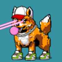 DogePunks #925