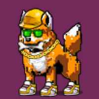 DogePunks #1118