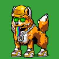 DogePunks #611