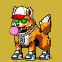 DogePunks #3776