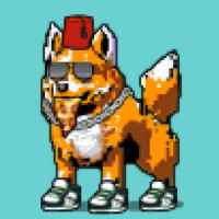 DogePunks #2134