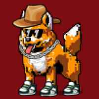 DogePunks #2368